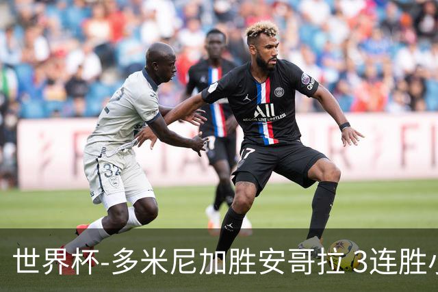 世界杯-多米尼加胜安哥拉 3连胜小组第一晋级